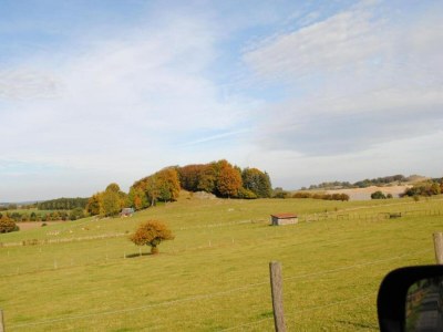 Holiday house Group Getaway in Brilon-Wald - Environment photo 30