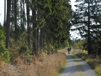 Holiday house Group Getaway in Brilon-Wald - Environment photo 31