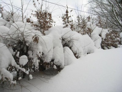 Holiday house Group Getaway in Brilon-Wald - Environment photo 33