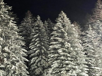 Holiday house Group Getaway in Brilon-Wald - Environment photo 35