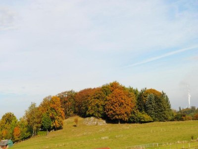 Holiday house Group Getaway in Brilon-Wald - Environment photo 40