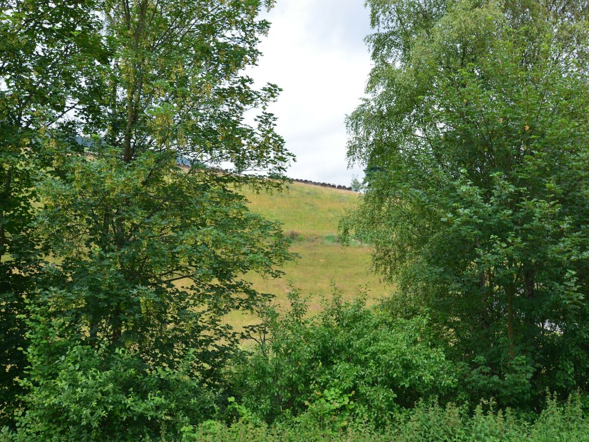 Apartment Gemütlicher Rückzugsort in Olsberg-Elpe - Outdoor photo 3