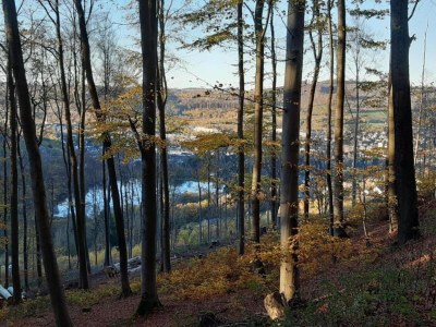 Apartment Chalet im Sauerland nahe Skigebiet Winterberg - Environment photo 14