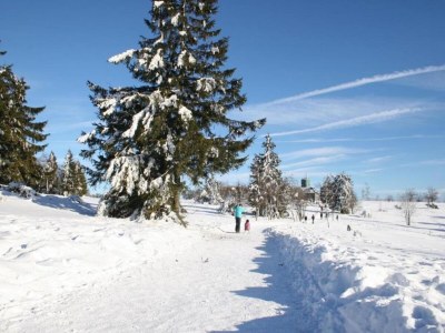 Apartment Chalet im Sauerland nahe Skigebiet Winterberg - Environment photo 30