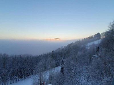 Apartment Chalet im Sauerland nahe Skigebiet Winterberg - Environment photo 31