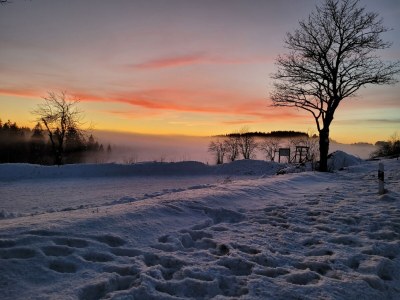 Holiday house Ferienhaus in Winterberg- Atlastenberg - Environment photo 22