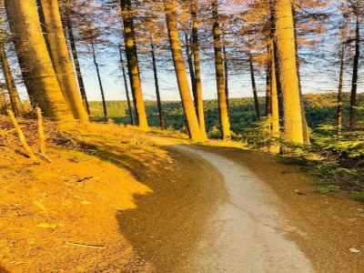 Holiday house Ferienhaus in Winterberg- Atlastenberg - Environment photo 34