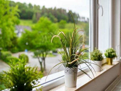 Holiday house Ferienhaus Bergfreiheit - Outdoor photo 39