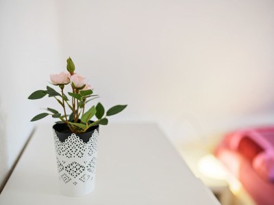 Holiday house Ferienhaus Bergfreiheit - Outdoor photo 40