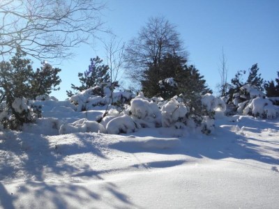 Apartment Medebach Naturapartment - Environment photo 28