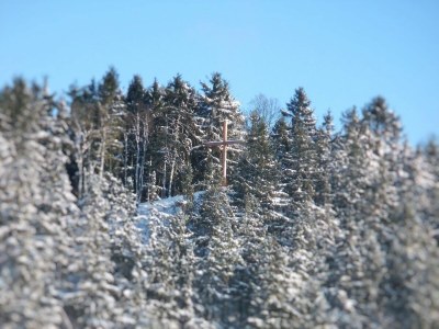 Apartment Ferienwohnung im Sauerland - Environment photo 24