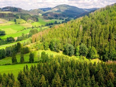 Apartment Ferienwohnung im Sauerland - Environment photo 25