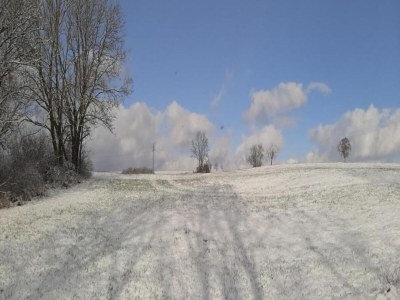 Apartment Ferienwohnung im Sauerland - Environment photo 29