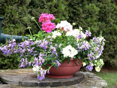 Apartment Ferienwohnung im Sauerland - Outdoor photo 42