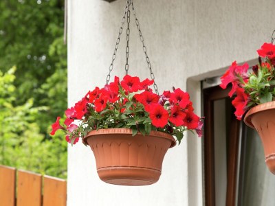 Holiday house Ferienwohnung Oberschledorner Wald - Outdoor photo 40