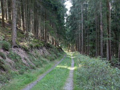 Apartment Rustikales Medebach-Ski-Retreat - Environment photo 22