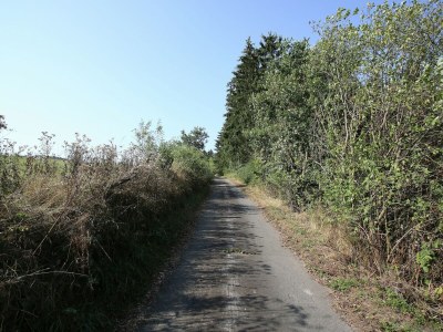 Apartment Rustikales Medebach-Ski-Retreat - Environment photo 33