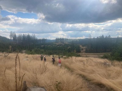 Holiday house Ferienhaus in Medebach nahe Skigebiet - Environment photo 34