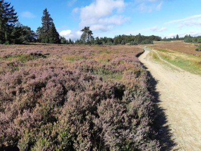 Holiday house Ferienhaus in Medebach nahe Skigebiet - Environment photo 31