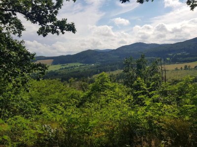 Holiday house Ferienhaus in Medebach nahe Skigebiet - Environment photo 34