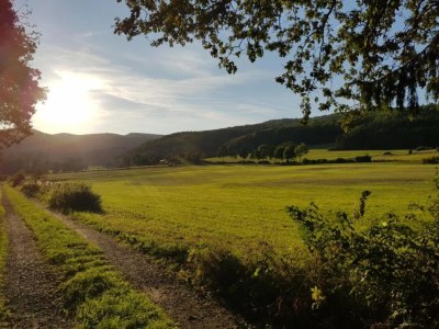 Holiday house Ferienhaus in Medebach nahe Skigebiet - Environment photo 35