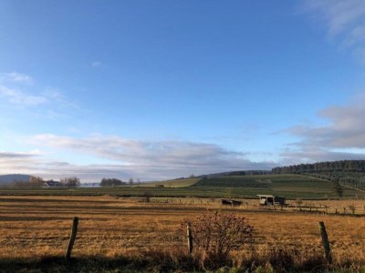 Holiday house Ferienhaus in Medebach nahe Skigebiet - Environment photo 36