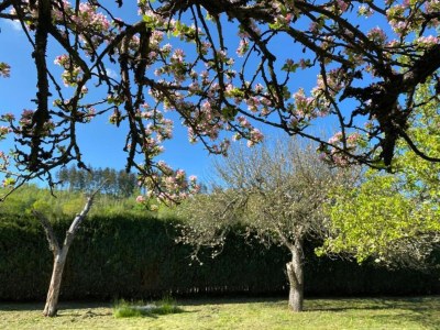 Holiday house Ferienhaus in Medebach nahe Skigebiet - Environment photo 37