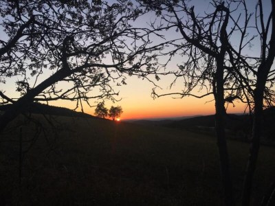 Holiday house Ferienhaus in Medebach nahe Skigebiet - Environment photo 38