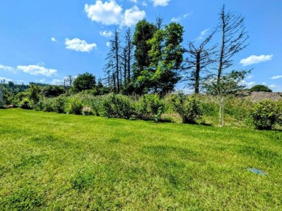 Villa Villa in Zentrumsnähe, Medebach - Environment photo 28