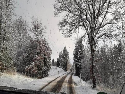 Villa Villa in Zentrumsnähe, Medebach - Environment photo 30