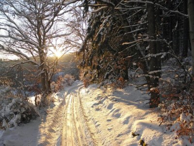 Villa Villa in Zentrumsnähe, Medebach - Environment photo 34