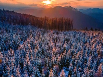 Villa Villa in Zentrumsnähe, Medebach - Environment photo 38