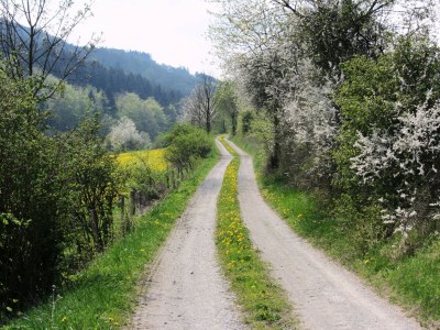 Villa Moderne Villa in Medebach Küstelberg - Environment photo 30