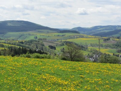Villa Moderne Villa in Medebach Küstelberg - Environment photo 34