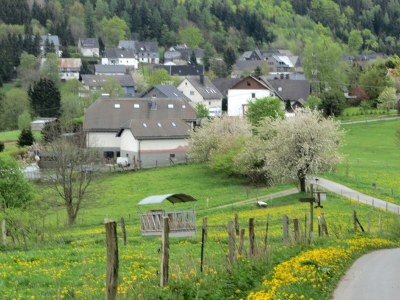 Villa Moderne Villa in Medebach Küstelberg - Environment photo 36