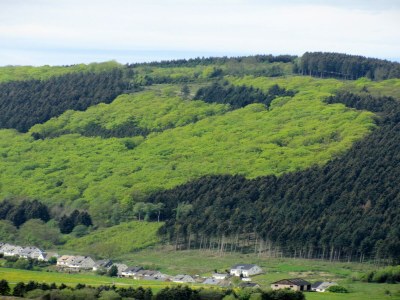 Villa Moderne Villa in Medebach Küstelberg - Environment photo 37