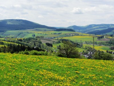 Villa Villa im Küstelberg - Environment photo 36