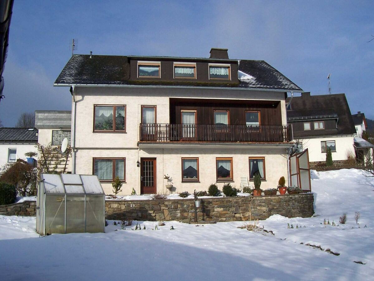 Apartment Ferienwohnung im Sauerland Hillside