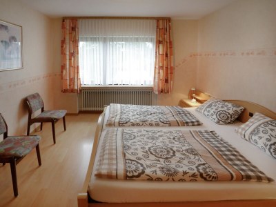 Apartment Ferienwohnung im Sauerland Hillside - Features photo 31