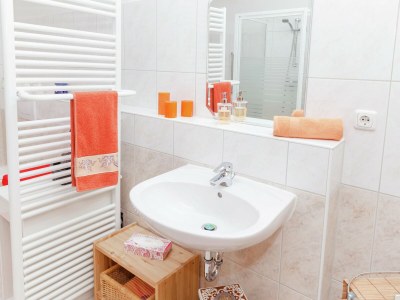 Villa Villa mit Sauna und Garten - Features photo 20