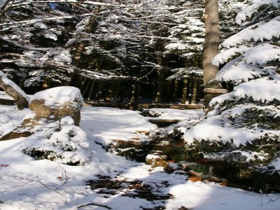 Apartment Rückzugsort in Mossautal-Hüttenthal - Environment photo 32