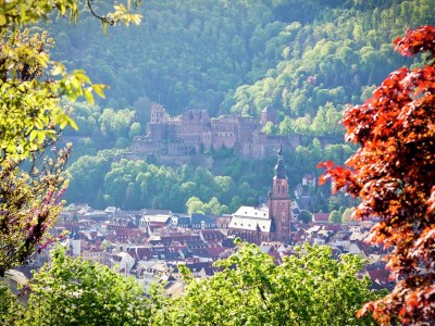 Apartment Rückzugsort in Mossautal-Hüttenthal - Environment photo 33