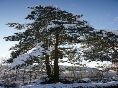 Apartment Rückzugsort in Mossautal-Hüttenthal - Environment photo 37