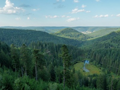 Apartment Ferienwohnung im malerischen Kniebis - Environment photo 26