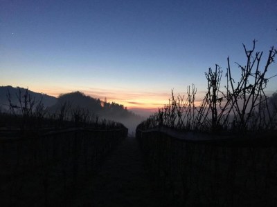 Apartment Ferienwohnung im malerischen Kniebis - Environment photo 27