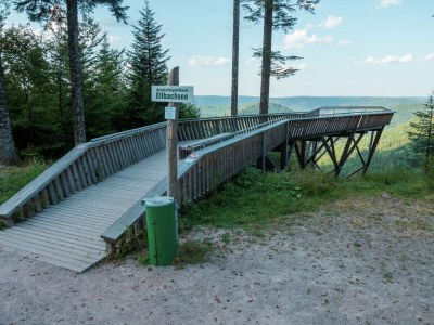 Apartment Ferienwohnung im malerischen Kniebis - Environment photo 29