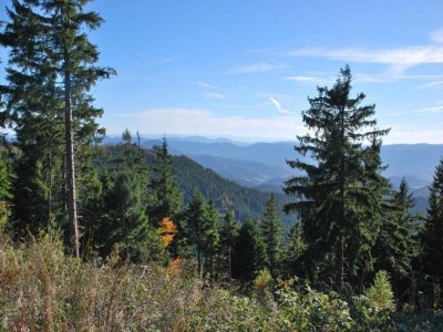 Apartment Ferienwohnung im malerischen Kniebis - Environment photo 30