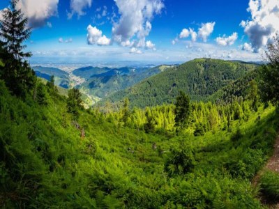 Apartment Ferienwohnung im malerischen Kniebis - Environment photo 35