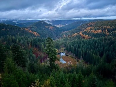 Apartment Ferienwohnung im malerischen Kniebis - Environment photo 36