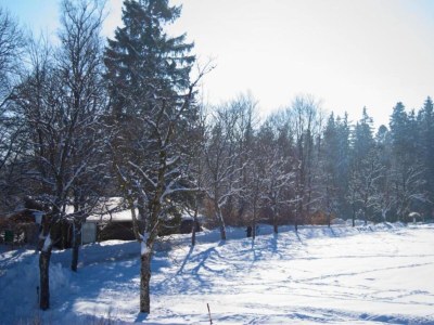 Apartment Ferienwohnung im malerischen Kniebis - Environment photo 37